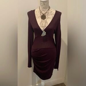 Elegant Plum Long Sleeve Dress